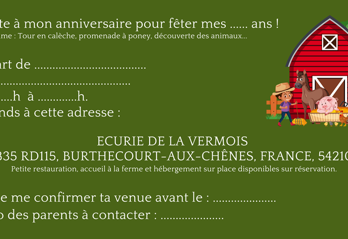 Flyer2