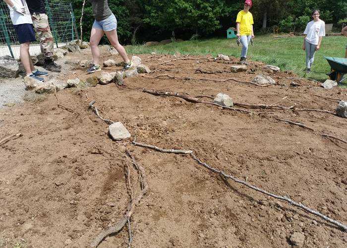 La fleur se dessine au sol