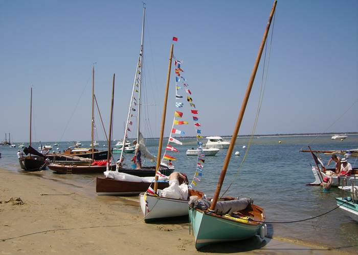 Nid Cosy Bordeaux - Bassin d'Arcachon