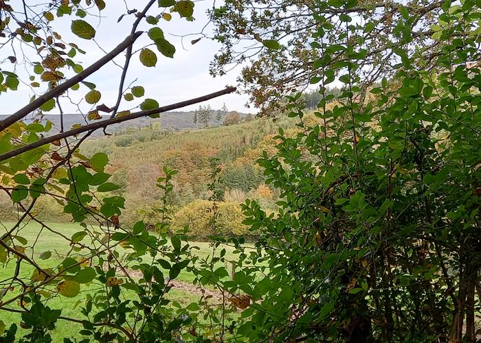 Vue de Winamplache