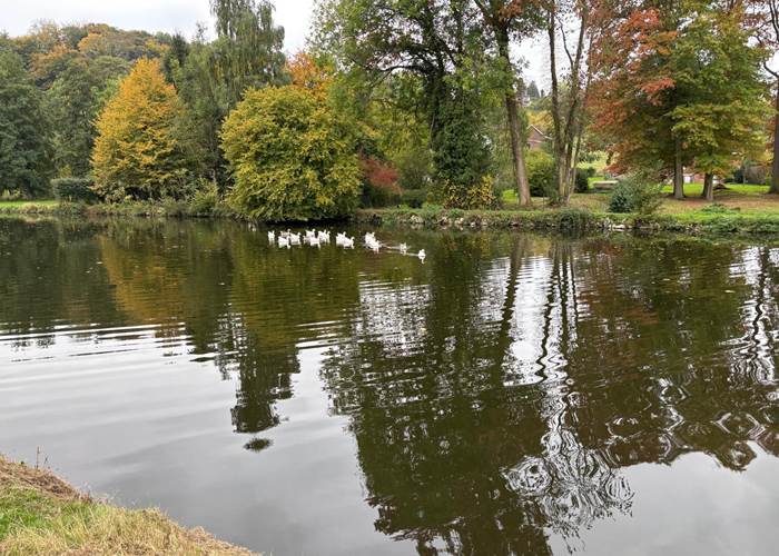 La Sambre près de Hourpes en automne