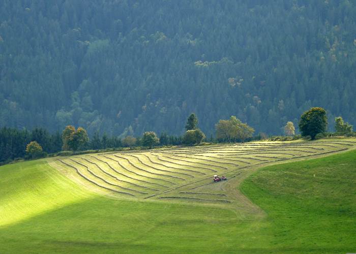 Montagne, Vosges-page