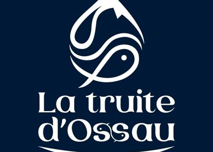 Sans titre