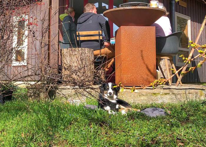 Vacances avec son chien-page