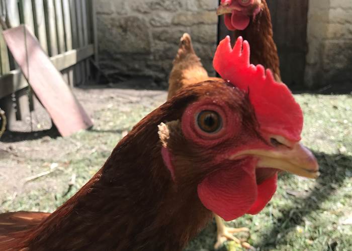 DEVELOPPEMENT DURABLE ET PROTECTION DE L'ENVIRONNEMENT