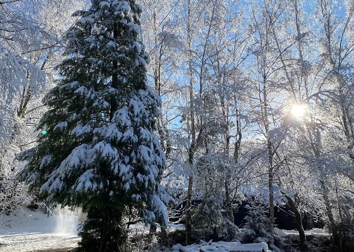 Domaine du Hygge Chalets Lodges & Spa