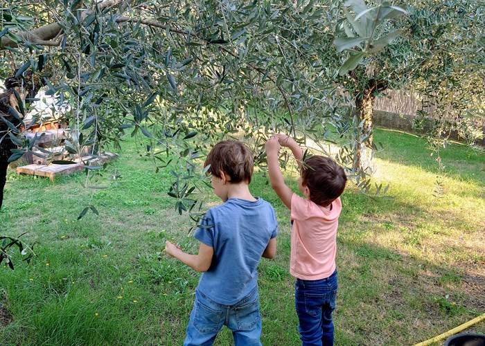 Cigaleo chambre d'hôtes Carnoules Var