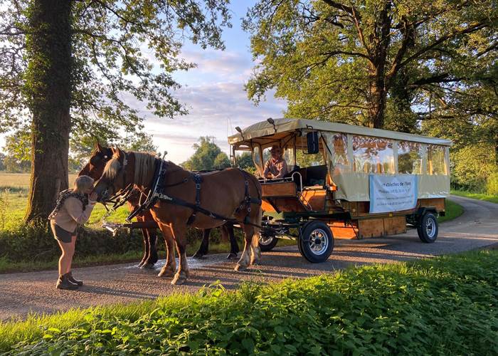 clos-de-l-isop_restaurant_roulotte_limousin_haute-vienne_chevaux_caleches_locations_nature