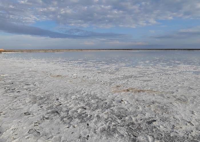 Marais salins de Gruissan