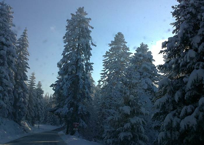 Vers une journée de ski de fond