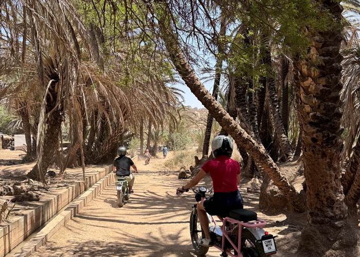 guided tours essaouira-page