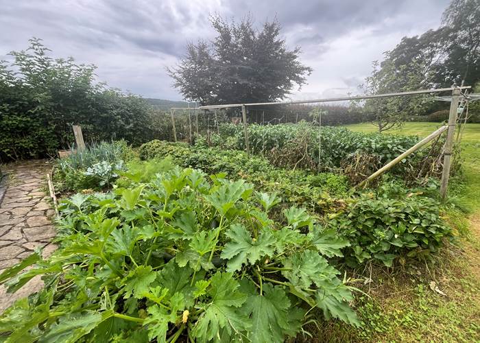 potager