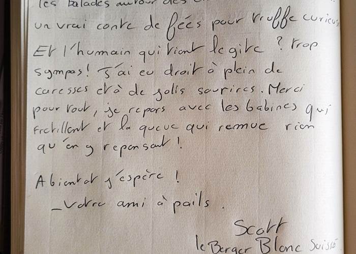 Sans titre