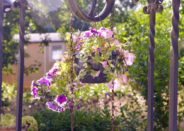Insolites Chimay jardin (2)