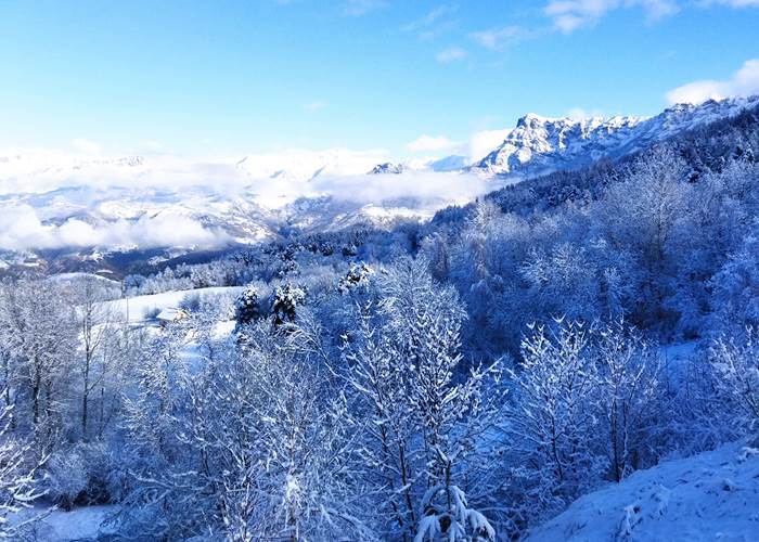 Location studio Montclar-news