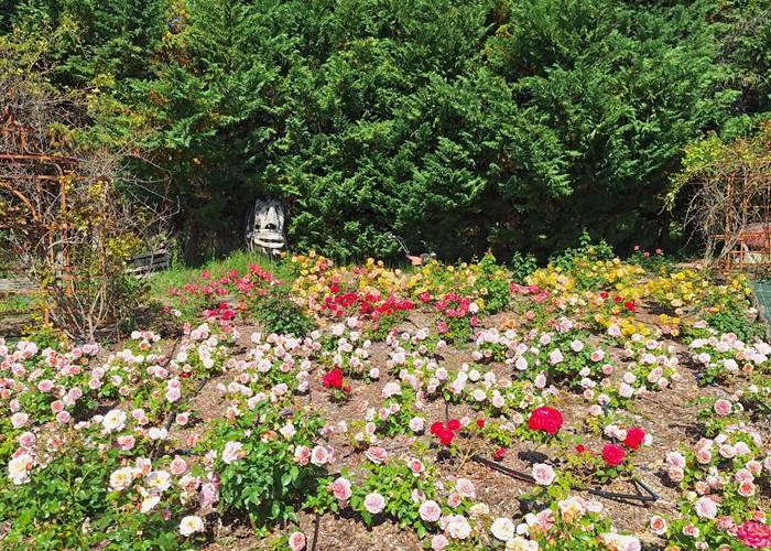 Jardin d'Alcinoos