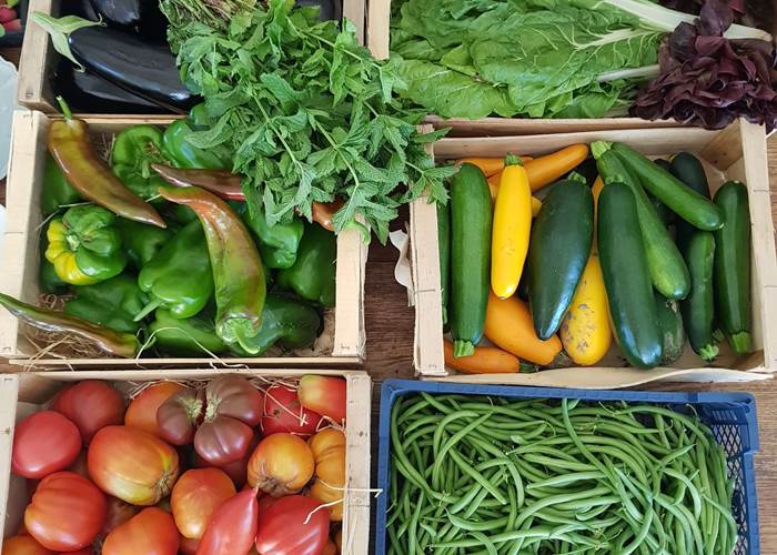les légumes du jardin