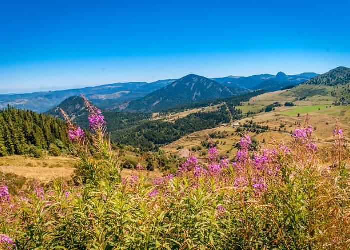 Le Plateau de Mezenc