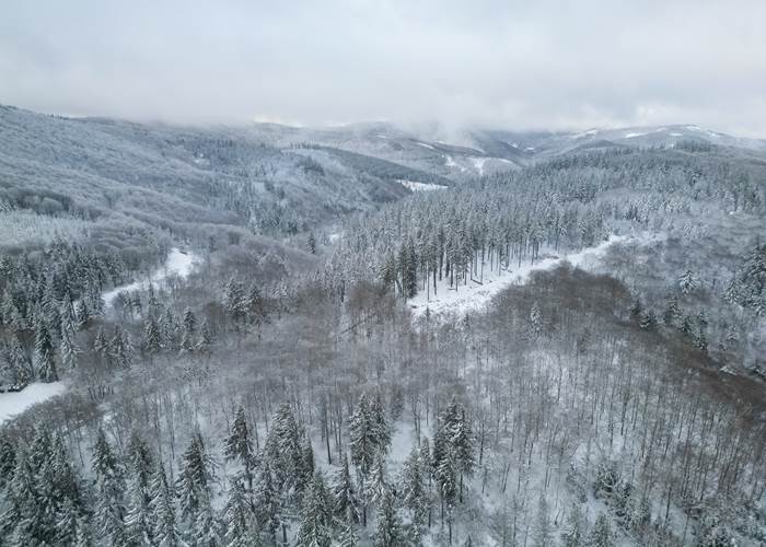 Paysage dans les hauteurs
