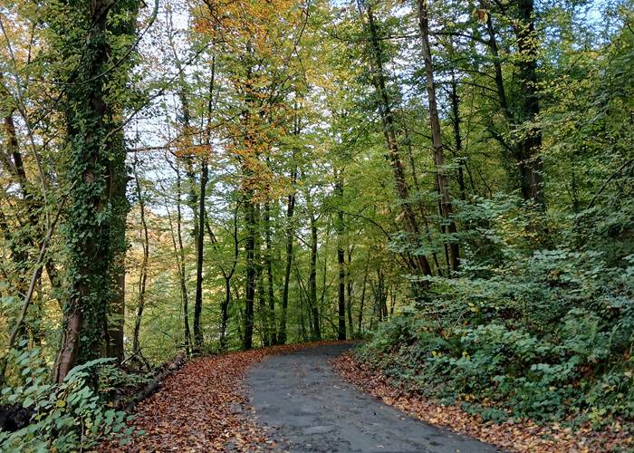 en chemin ....