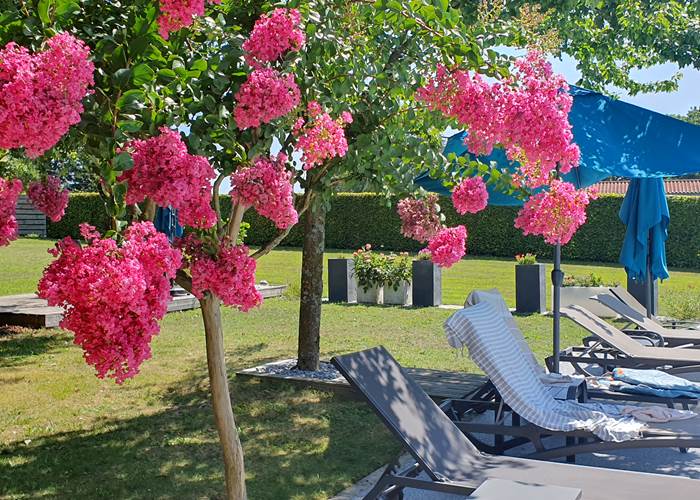 Jardin