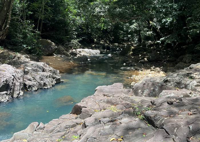 saut d'acomat Pointe Noire
