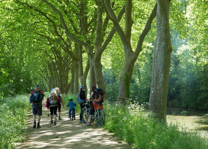 Balade au bord du Canal du Midi
