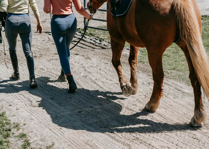 Balade équestre-page