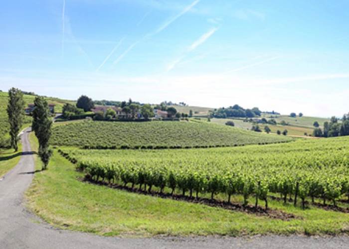 Le Domaine Vayssette, producteur vigneron à Gaillac
