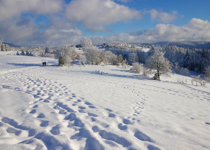 Ski dans Les Vosges-news