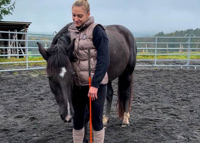Travailler en confiance et en respect mutuel : ma passion pour l'équitation éthologique