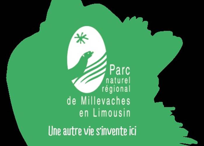 Sans titre