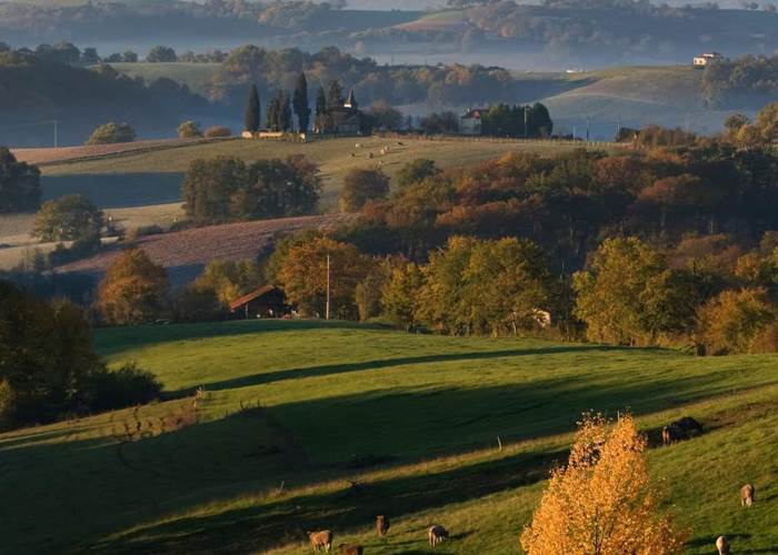 Coteaux du Gers