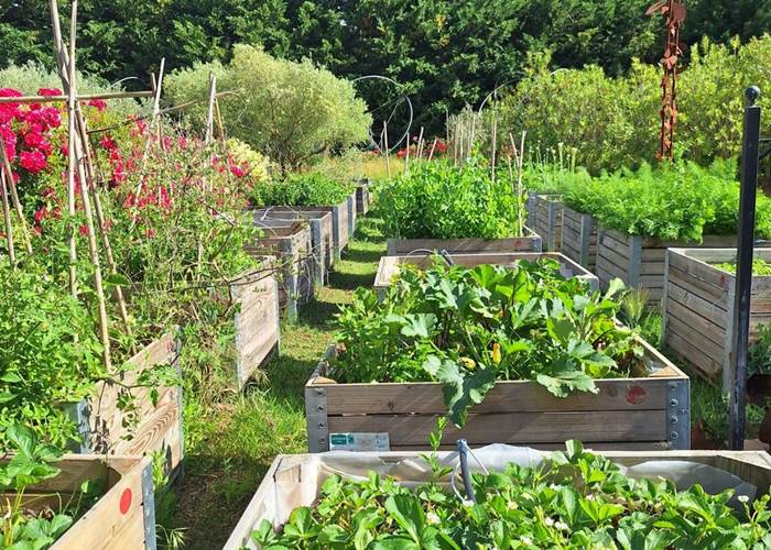 Verger et potager bio