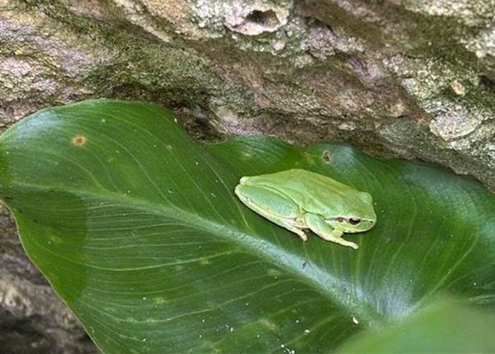 Les jardins : jardin haut et jardin bas