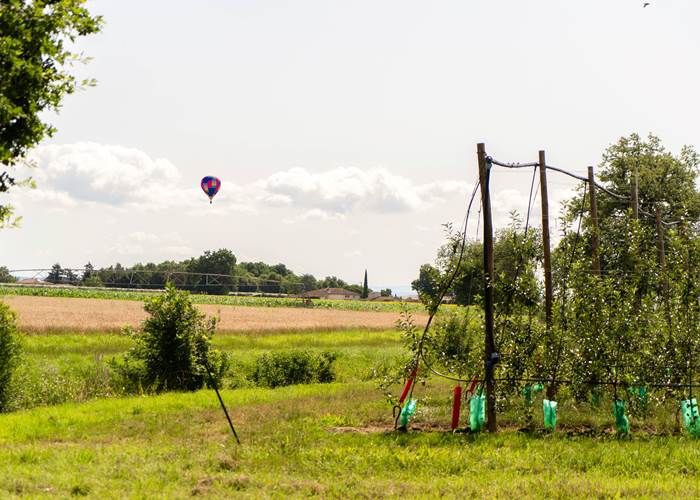 Découverte de la région en Montgolfière