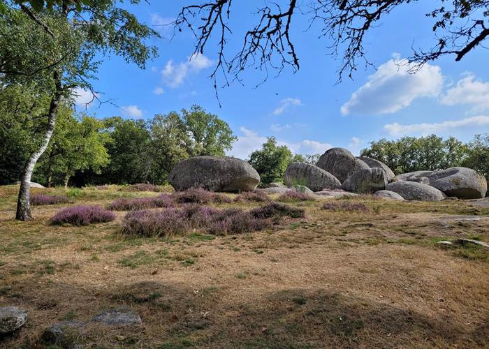 Les Pierres Jaumâtres