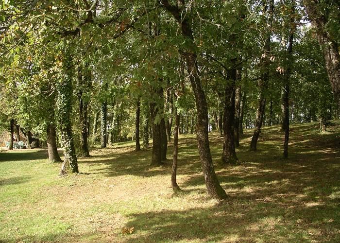 bois-chambres-d'hotes-dordogne-feuillantines