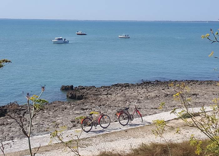 Balade à vélo île d'Aix