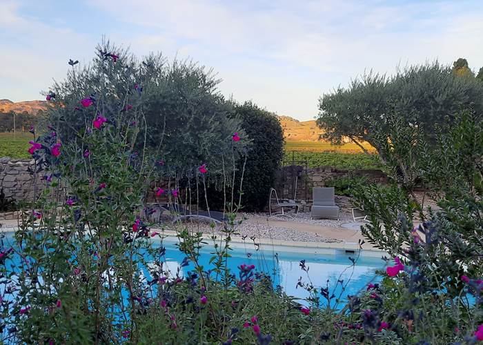 Notre piscine avec sa vue sur les vignes