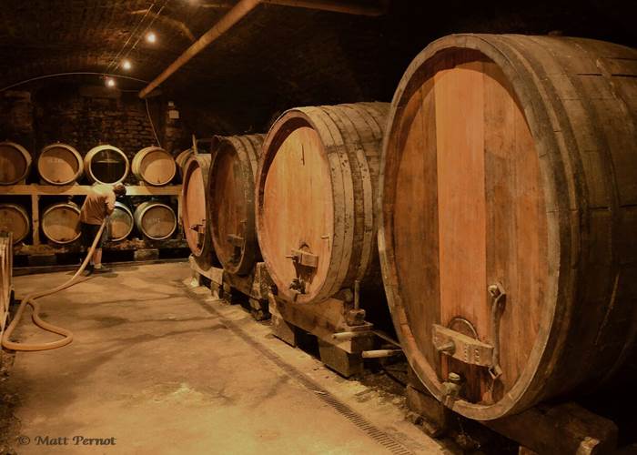 L'élevage en fûts de chêne