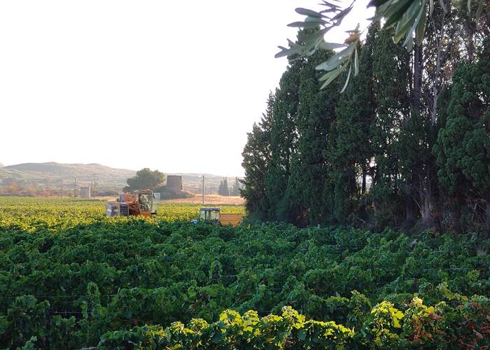 Venez vivre un moment inoubliable avec nos vignerons