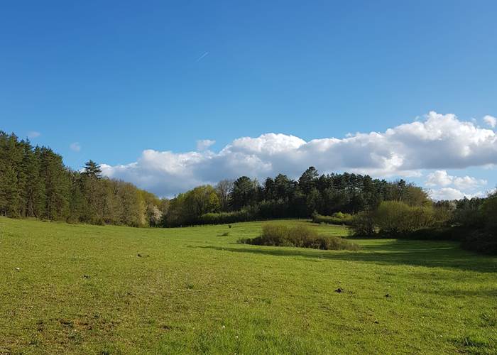 Les paysages boisés entourant le domaine des Granges Indigo.