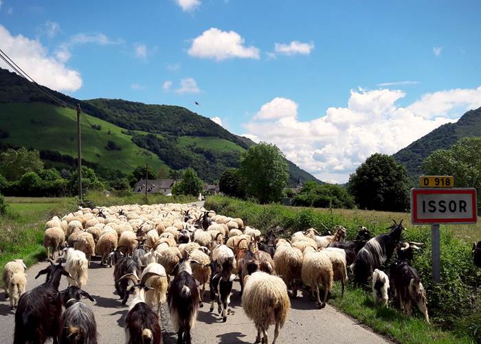 Haut-Béarn-berceau-de-l'Ossau-Iraty
