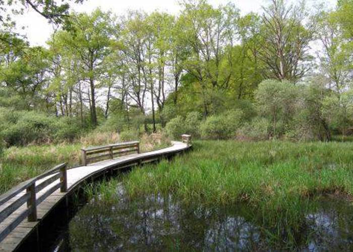 Réserve Naturelle Nationale de l'Etang des Landes