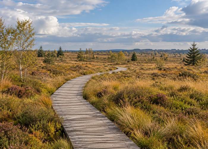 Fagne515-caillebotis-fagnes