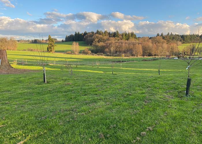 Les terres de la chouette, oui c'est votre emplacement bien au calme et entouré de nature