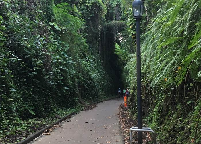 sentier littoral nord