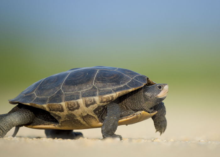 slow tourisme à la Vieille Maison de Pensol
