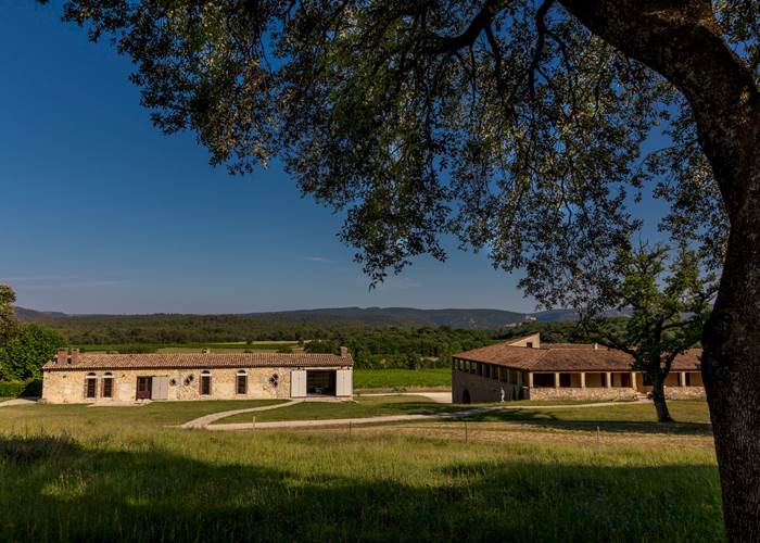 Gîtes au cœur du Domaine viticole